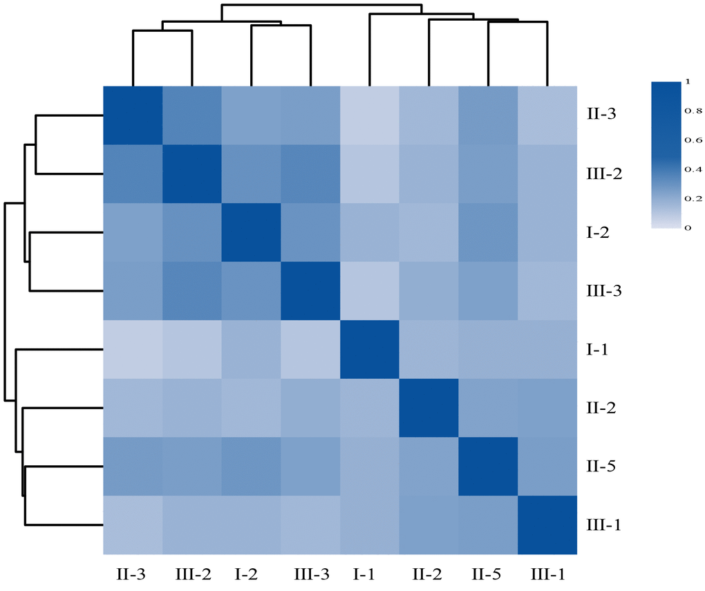 The heatmap of Person’s correlation between members of the Family according to their respective gene abundance. Rows and columns represent individuals, on the left is the clustering of the sample. Different colors reflect the corresponding correlation coefficient.
