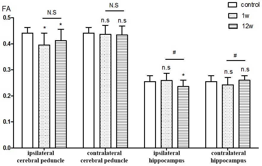 ROIs analysis of FA value. *P0.05 compared with control group; # P0.05 compared with 1st w.