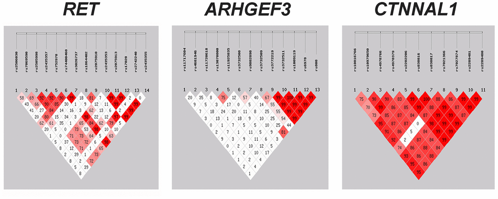 Assessment of linkage disequilibrium (LD) between the genetic variants within RET, ARHGEF3 and CTNNAL1. The matrices represent the D' value between the SNP pairs. Red matrices denote D' > 70%. SNP = single nucleotide polymorphism.