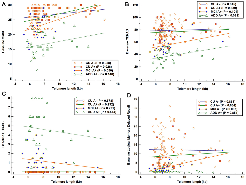 Associations between telomere length (TL) and baseline cognitive function in each Alzheimer’s disease (AD) cognitive stage group. Simple linear regression was performed with TL as independent variable and each cognitive function test as dependent variable. (A) Significant positive association between TL and Mini-Mental State Examination (MMSE) scores in the cognitively unimpaired (CU) A+ group (R2 = 0.190). (B) Significant positive association between TL and Consortium to Establish a Registry for AD (CERAD) scores in the AD dementia (ADD) A+ group (R2 = 0.152). (C) No significant association was detected between TL and Clinical Dementia Rating-Sum of Boxes (CDR-SB) in each AD cognitive stage group. (D) Significant positive association between TL and Logical Memory delayed recall scores in the mild cognitive impairment (MCI) A+ group (R2 = 0.245). Higher scores suggest better cognition in MMSE, CERAD, and LM delayed recall test, and lower scores suggest better performance in CDR-SB.