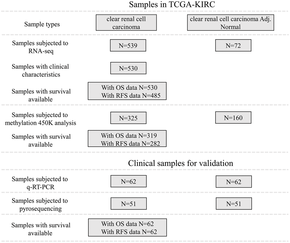 Patient inclusion and data availability.