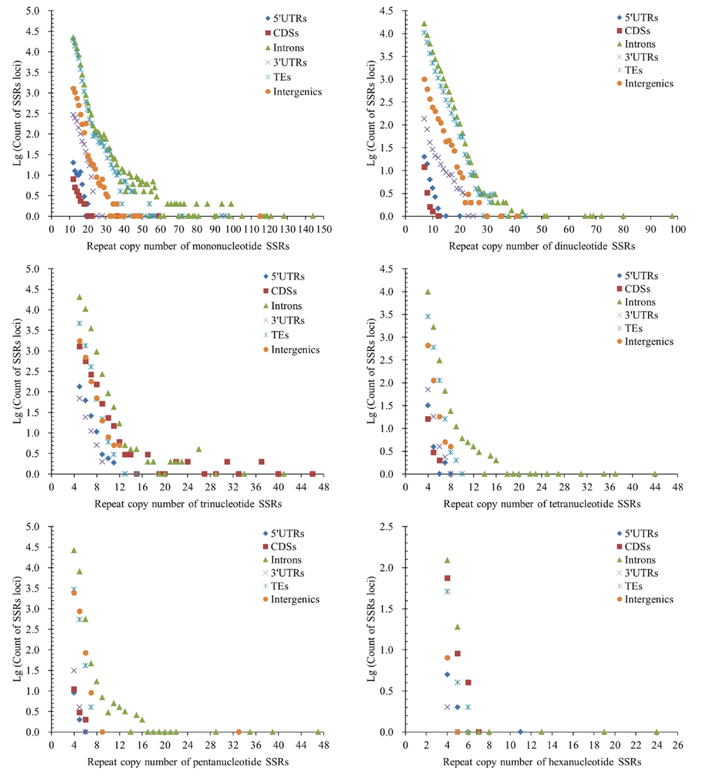 Comparative analysis of repeat copy number (RCN) of mono- to hexanucleotide P-SSRs in different genomic regions of FMD genome.