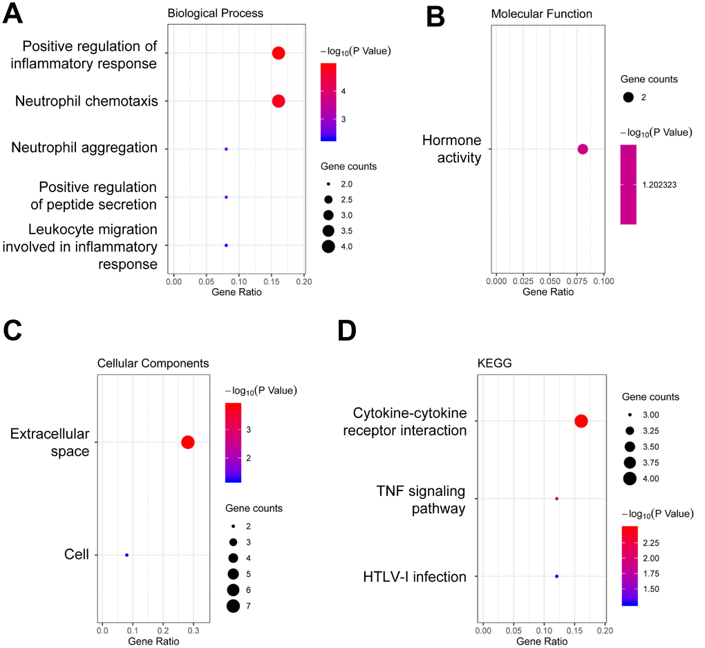 Functional enrichment analysis of DEGs. (A) GO analysis of biological process. (B) GO analysis of molecular function. (C) GO analysis of cellular components. (D) KEGG pathway enrichment analysis. DEGs, differentially expressed genes. Dot sizes represent counts of enriched DEGs, and dot colors represent negative Log10-P values.