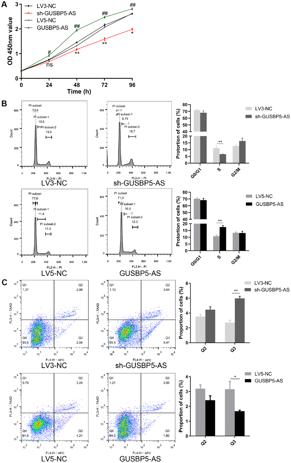 GUSBP5-AS have a central role in proliferation. (A) Cell proliferation ability of GUSBP5-AS in lncRNA GUSBP5-AS knockdown and overexpression group and their corresponding NC groups was detected by CCK8 assay. *P#P ##P B) The effect of GUSBP5-AS on EPC cycle was investigated by FCM cell cycle distribution test. (C) The effect of lncRNA GUSBP5-AS on cell apoptosis was measured with Annexin V-APC/7-AAD Apoptosis Detection Kit by FCM. Cell apoptosis was analysed. Data from 3 experiments are summarized. *P