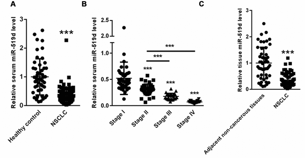 MiR-519d expression is decreased in serum and tumor tissues of NSCLC patients. (A) Serum miR-519d levels in NSCLC patients. (B) Serum levels of miR-519d in NSCLC patients of clinical stages II-III-IV. (C) The expression of miR-519d in tumor lung tissues of NSCLC patients compared to adjacent noncancerous tissues. ***p