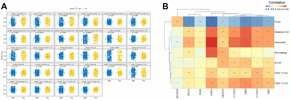 The relationship between the nine-gene signature and immune infiltration. (A) Comparison of relative immune cell abundance based on GSVA score in high-risk and low-risk groups (B) Partial Spearman's correlation of nine genes expression and immune infiltrates. *: Statistically significant p 