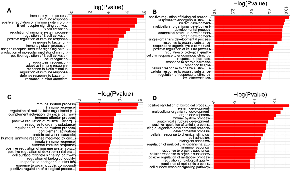 GO analysis of the DEGs identified in comparison of MCT-treatment with control. (A) biological process terms enriched in DEGs at week 1, (B) biological process terms enriched in DEGs at week 2, (C) biological process terms enriched in DEGs at week 3 and (D) biological process terms enriched in DEGs at week 4. Only the top 20 biological process terms of GO enrichment analysis were showed.