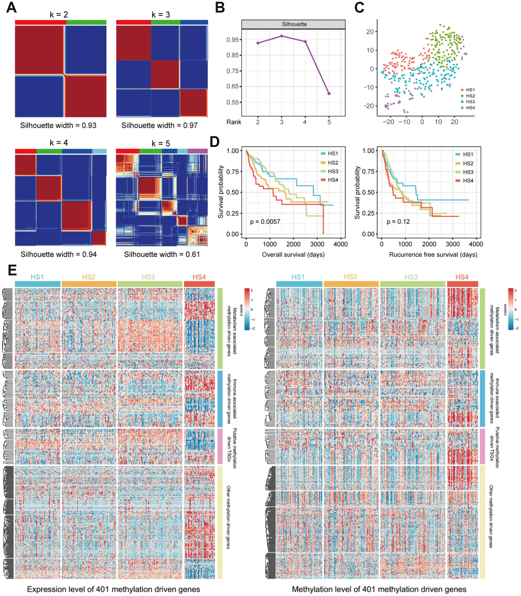 Identification of HCC subclasses based on integrated transcriptome and methylation data of MDGs. (A) Consensus matrix for k = 2 to k = 5. (B) Silhouette values under corresponding k values. (C) T-SNE analysis of mRNA expression data from tumor samples included in the cluster analysis (D) OS and RFS of 4 HCC subclasses. Statistical significance of differences was determined by Log-rank test. (E) Heatmaps show the expression and methylation level of 401 MDGs in HCC subclasses. 401 MDGs were divided into 4 groups, including metabolism associated MDGs, immune associated MDGs, putative methylation driven TSGs and other MDGs. HCC: hepatocellular carcinoma; MDG: methylation driven gene; t-SNE: t-distributed stochastic neighbor embedding; OS: overall survival; RFS: recurrence free survival; TSG: tumor suppressor genes.