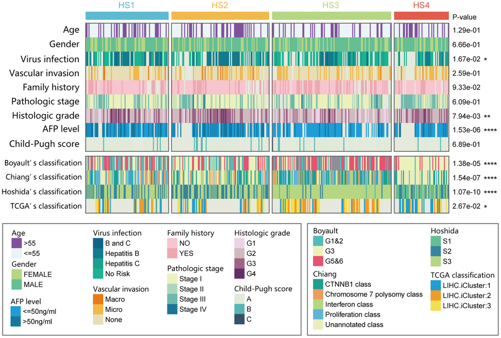 Correlation of our classification (HS1, HS2, HS3 and HS4) with distinct clinical characteristics and previously published HCC subclasses. Prediction of previously published HCC classifications was performed with NTP analyses. Statistical significance of differences was determined by Chi-square test (ns represents no significance, * represents P 