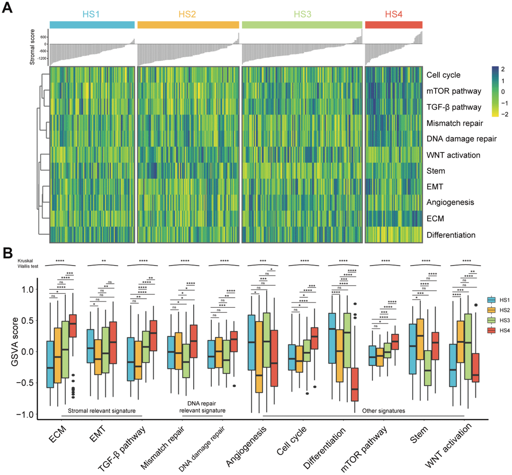 Difference of progression-relevant signatures among HCC subclasses. (A) Heatmap of progression-relevant signatures in 4 HCC subclasses. (B) Box plots (from 25th percentile to the 75th percentile with a line at the median) show the abundance of progression-associated signatures. Statistical significance of overall differences was determined by Kruskal Wallis test (ns represents no significance, * represents P 