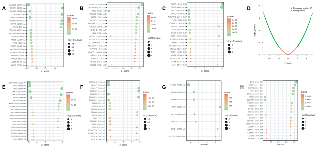 Bubble plots of top 20 significant prognostic AS events in AA (A), AD (B), ES (C), AP (E), AT (F), ME (G) and RI (H) type, respectively. Volcano plots of prognostic AS events (D). AA, alternate acceptor site; AD, alternate donor site; AP, alternate promoter; AT, alternate terminator; ES, exon skip; ME, mutually exclusive exons; RI, retained intron.