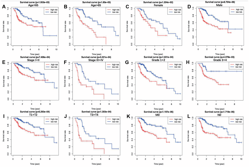 The overall survival differences between the high-risk group and the low-risk group were shown under the conditions of classifying patients by age (A, B), sex (C, D), stage (E, F), grade (G, H) and T stage (I, J). Patients without distant metastasis (K) and lymph node metastasis (L) are also displayed. Detailed notes are described in the main text.
