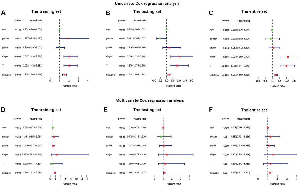 Univariate (A–C) and multiple (D–F) regression analysis of hepatocellular carcinoma and the relationships between the age, gender, grade, stage, T stage, distant metastasis, lymph node metastasis and riskScore in the training set (A and D), the testing set (B and E) and the entire set (C and F). Green dot means hazard ratio (HR) median value is less than 1, red dot means HR median value is greater than 1.
