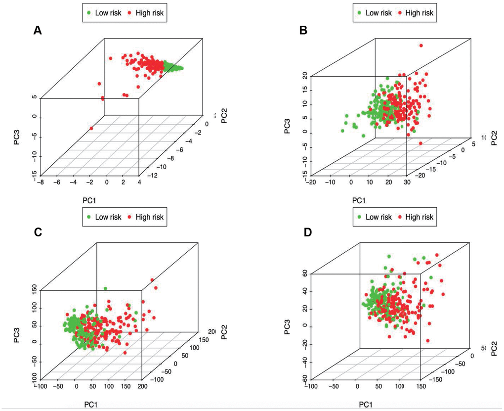 Principal components analysis between low- and high-risk groups based on (A) immune-related signature, (B) immune-related genes, (C) differently expressed genes and (D) the entire gene expression profiles.