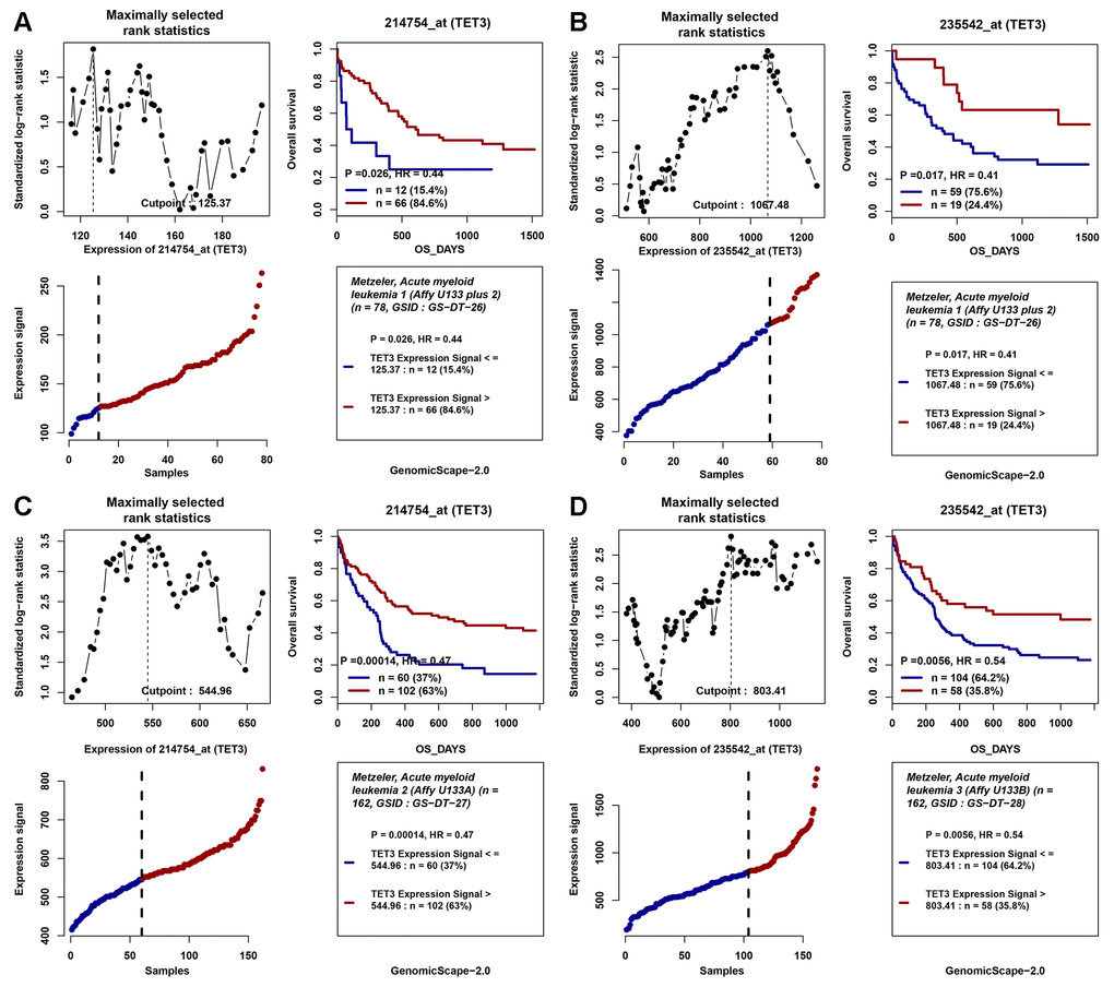 The impact of TET3 expression on overall survival of AML patients. (A–D) Two independent cohorts of 162 and 78 cytogenetically normal AML (CN-AML) patients were obtained from Gene Expression Omnibus (GEO) data (http://www.ncbi.nlm.nih.gov/geo/; accession number GSE12417). Survival analysis was performed through the online web tool Genomicscape (http://genomicscape.com/microarray/survival.php). (A) probe 214754