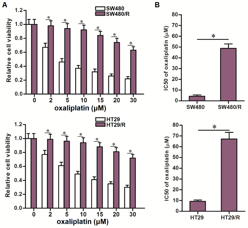 Oxaliplatin resistance of SW480/R and HT29/R. (A) MTT assays were performed to evaluate the cytotoxicity of different concentrations of oxaliplatin (0~30 μM) to SW480, SW480/R, HT29 and HT29/R. *PB) IC50 of oxaliplatin to SW480, SW480/R, HT29 and HT29/R. *P