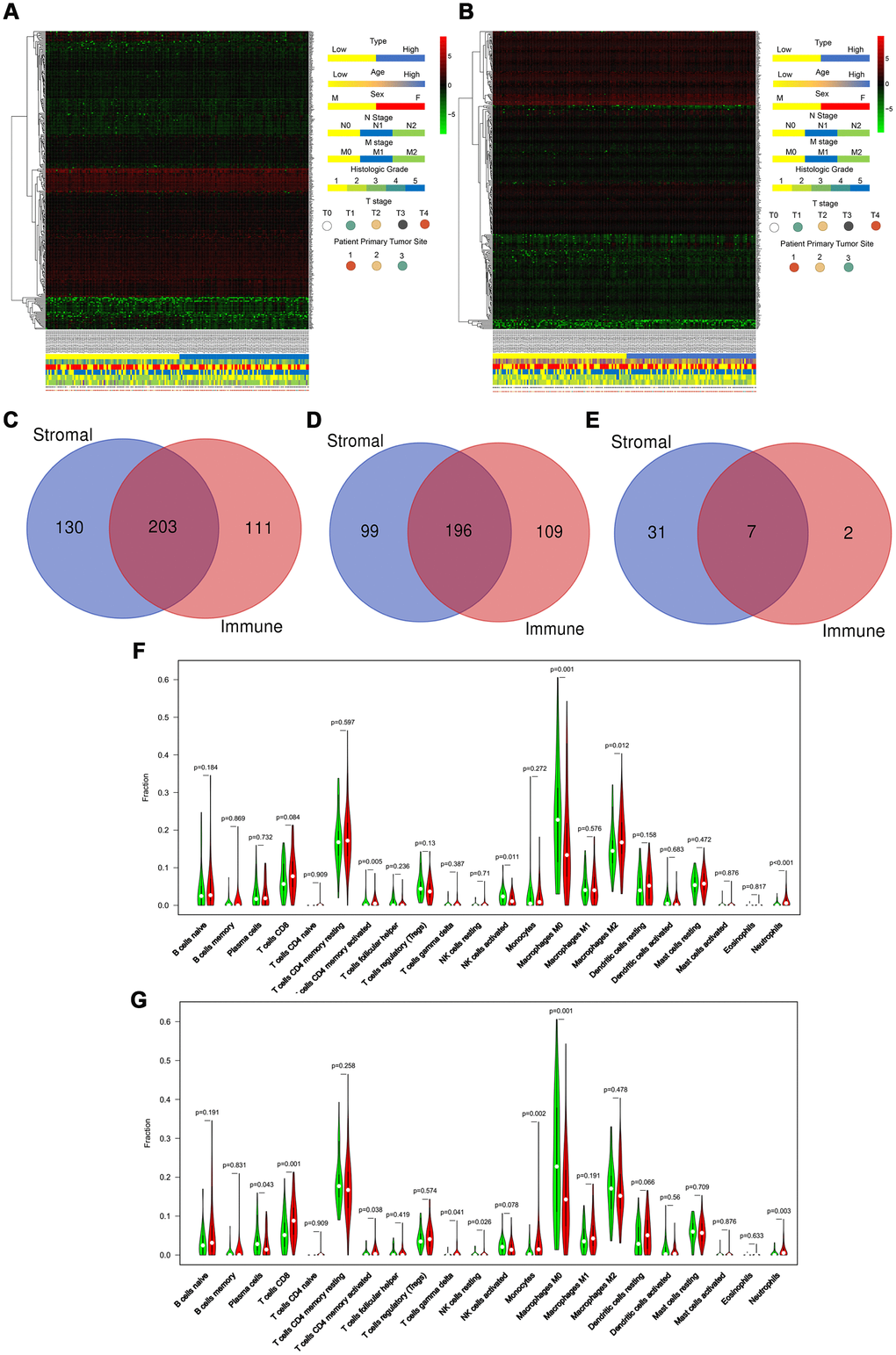 ESTIMATE algorithm identifies DEGs associated with stroma and immune scores. (A and B) Heatmaps displayed distinct mRNA expression forms and clinicopathological features between high and low stromal score groups (A) and between high and low immune score groups (B). (Primary tumor site: 1 for pancreas head, 2 for pancreas body, and 3 for other locations) (C–E) The Venn diagram showed the simultaneously differentially expressed DEGs (C), the simultaneously upregulated differentially expressed DEGs (D), and the simultaneously downregulated differentially expressed DEGs (E) between stromal score and immune score groups. (F, G) CIBERSORT results showed the association between the infiltration levels of immune cells and the stromal-score level (F) and the immune-score level (G).