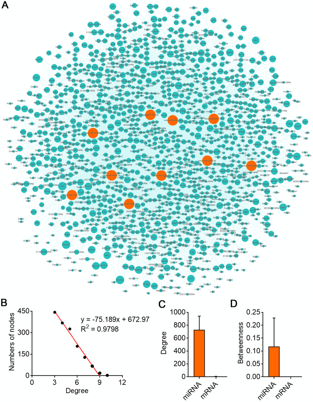 CircBBS9 target miRNA-mRNA network analysis. (A) Network of the circRNA-miRNA which have greater interaction score with their target mRNAs. The pink nodes represented miRNA and the green nodes represented mRNAs. (B) Degree distribution of circBBS9 related miRNA-mRNA network. (C, D) The degree and betweenness centrality of mRNAs and miRNAs.