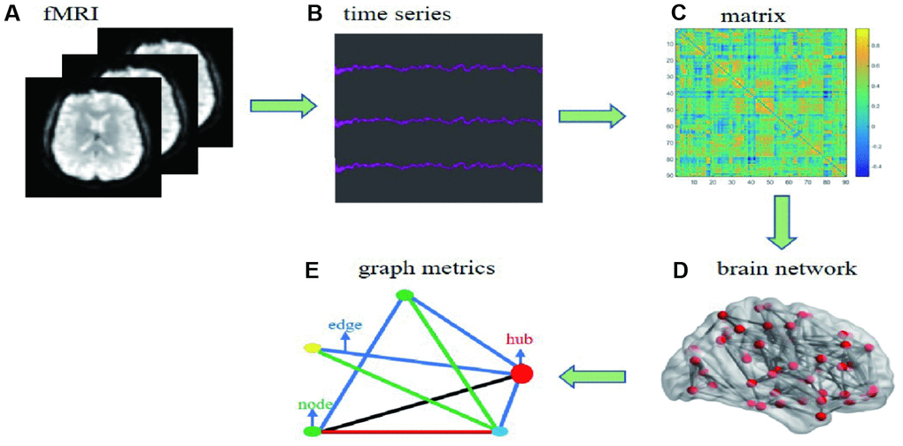 Flow chart of date processing for resting functional MRI. (A) individual fMRI images were used for parceling the distinct brain regions. (B) time series were collected after the pretreatment based on bold oxygenation level dependent. (C) functional connectivity matrix between node i and j was constructed. (D) individual brain network was collected. (E) simple model diagram for graph theory analysis.