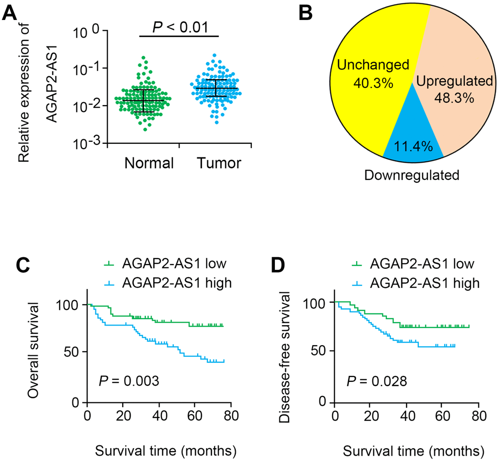 A Kaplan-Meier plot for six groups associated with colony survival