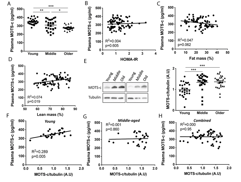 Increased expression of the mitochondrial derived peptide, MOTS-c, in  skeletal muscle of healthy aging men is associated with myofiber  composition | Aging