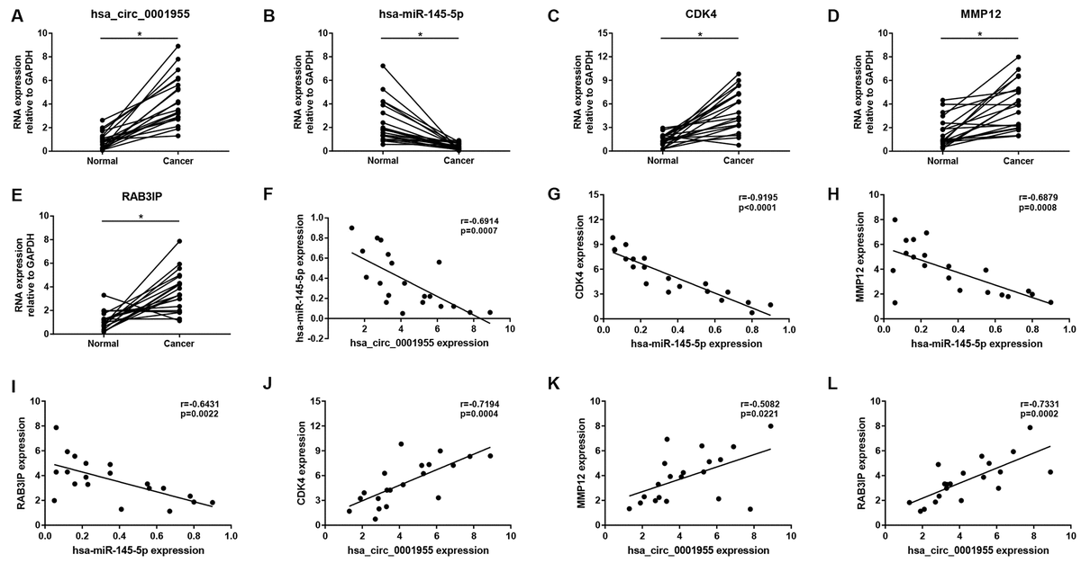 Whole-transcriptome analysis reveals a potential hsa_circ_0001955/hsa ...