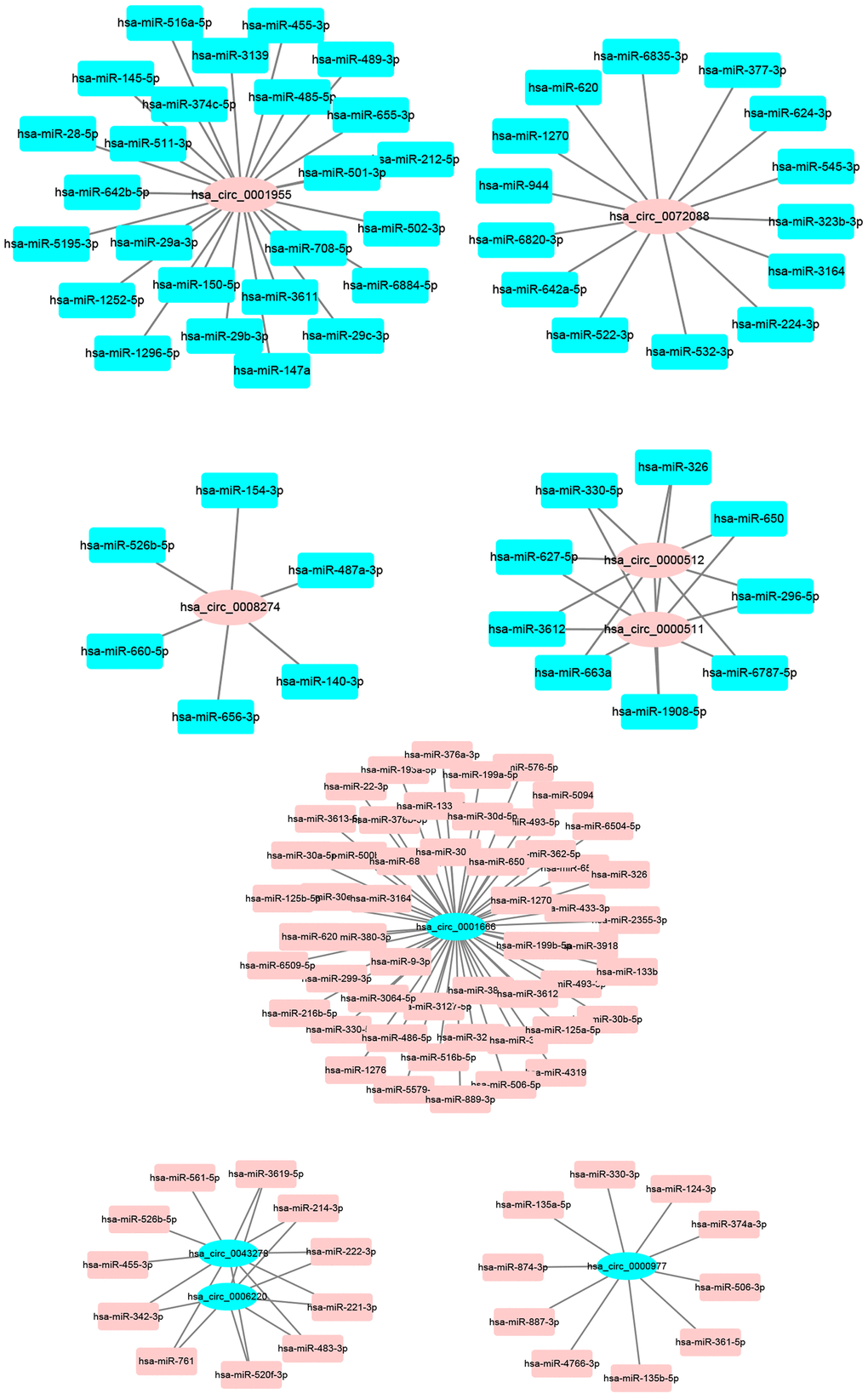 The binding miRNAs of 9 circRNAs predicted by starBase.