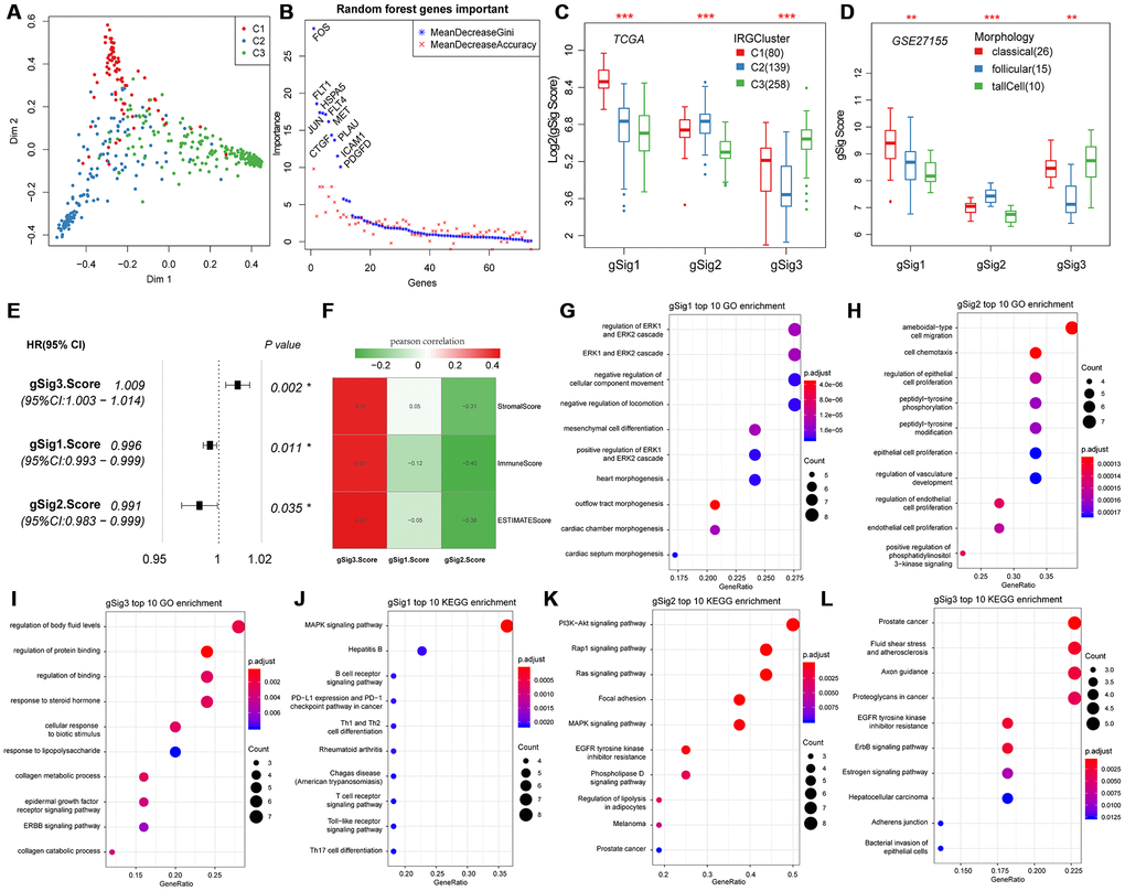 Expression characteristics and functional annotation of the immune gene modules in each subtype. (A) First and second principal component scores for each sample. (B) The importance ranking of 74 genes in random forest. (C) Distribution of gSigs score in IRGCluster. (D) Distribution of gSigs score in different pathological subtypes of GSE27155 data set. (E) The prognosis relationship between gSigs score and DFS. (F) Heat map showing gSig score and Pearson correlation results of immune infiltration. (G–I) GO enrichment analysis results of gSig1, gSig2 and gSig3. (J–L) KEGG pathway enrichment analysis results of gSig1, gSig2 and gSig3. Dot plot shows the top 10 GO and KEGG pathway enrichment results. The color in the graph indicates significance, and the dot size indicates the number of genes.