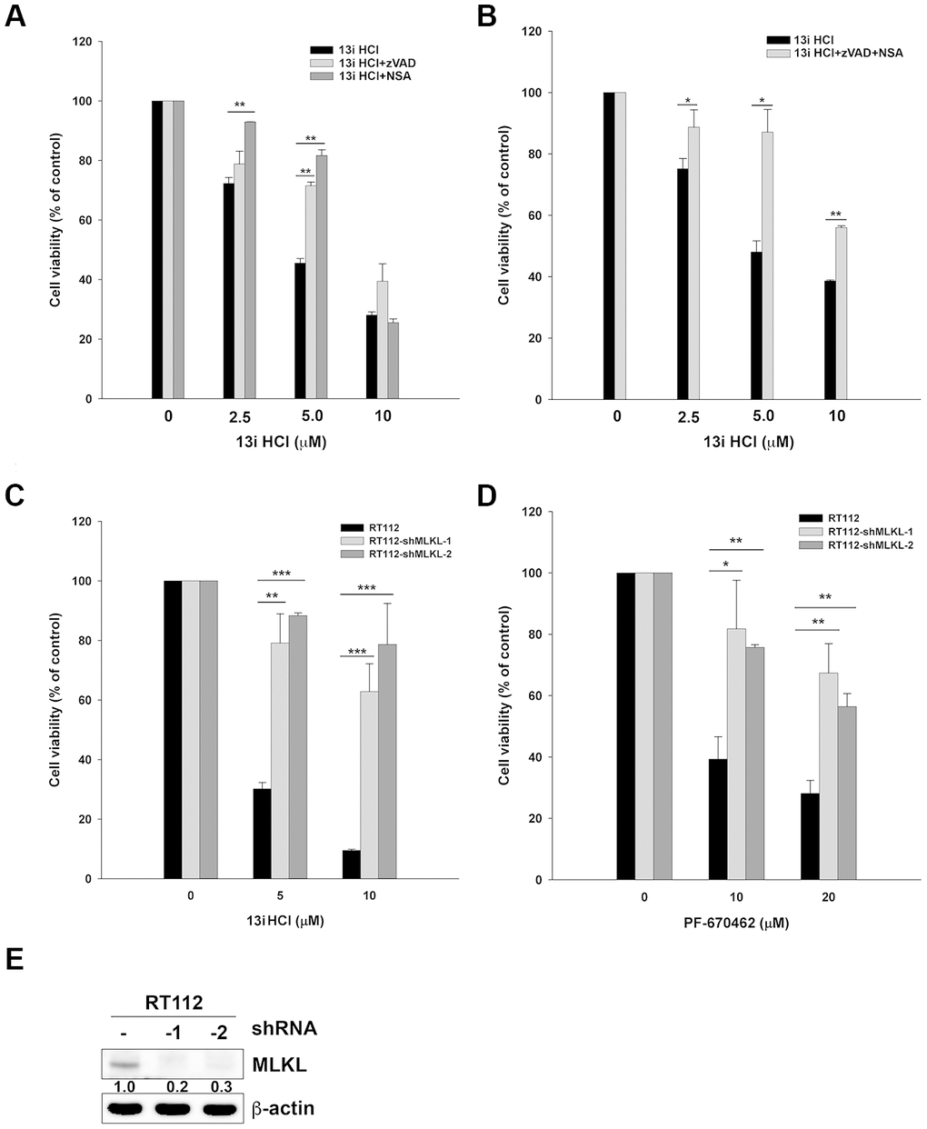 Inhibition of CK1δ activates necroptosis in bladder cancer cells. (A) RT112 cells were treated with the indicated concentrations of 13i HCl in the presence or absence of zVAD (20 μM) or NSA (10 μM) for 48 h and subjected to MTT assay. Data are represented as mean ± S.D. **PB) RT112 cells were treated with the indicated concentrations of 13i HCl in the presence or absence of zVAD (20 μM) plus NSA (10 μM) for 48 h and subjected to MTT assay. Data are represented as mean ± S.D. *PPC, D) RT112 and MLKL stable knocked-down clone (shMLKL-1, shMLKL-2) cells were treated with the indicated concentrations of 13i HCl (C) or PF-670462 (D) for 72 h and subjected to MTT assay. Data are represented as mean ± S.D. *PPPE) The knockdown efficiency of MLKL in RT112 cells was examined by Western blotting.