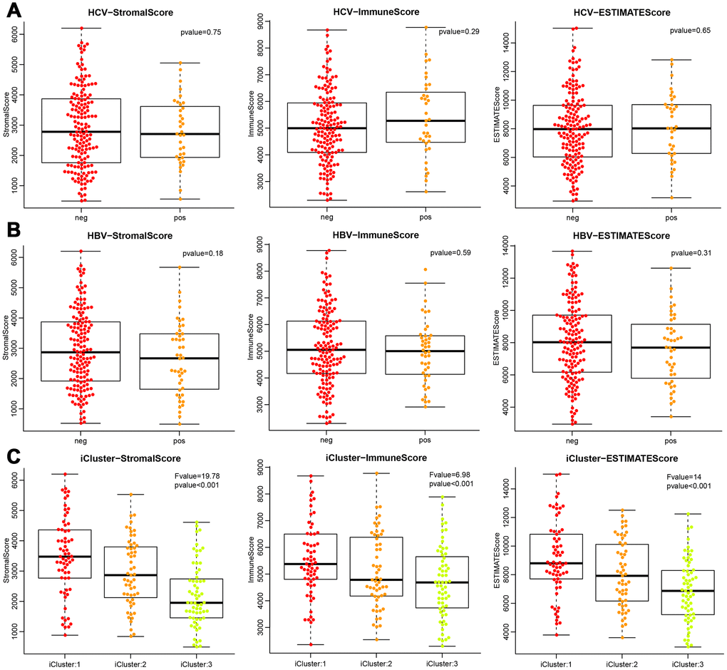Differences of the three ESTIMATE immune scores respectively in (A) HCV-positive and -negative patients, (B) HBV-positive and -negative patients, (C) three molecular subtypes based on mRNA expression profiles.