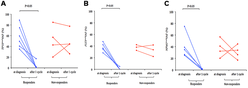 Change in TP53mut (A), FLT3mut (B), and NPM1mut (C) VAF in responders and non-responders to D-CAG with paired samples at diagnosis and after 1 cycle.