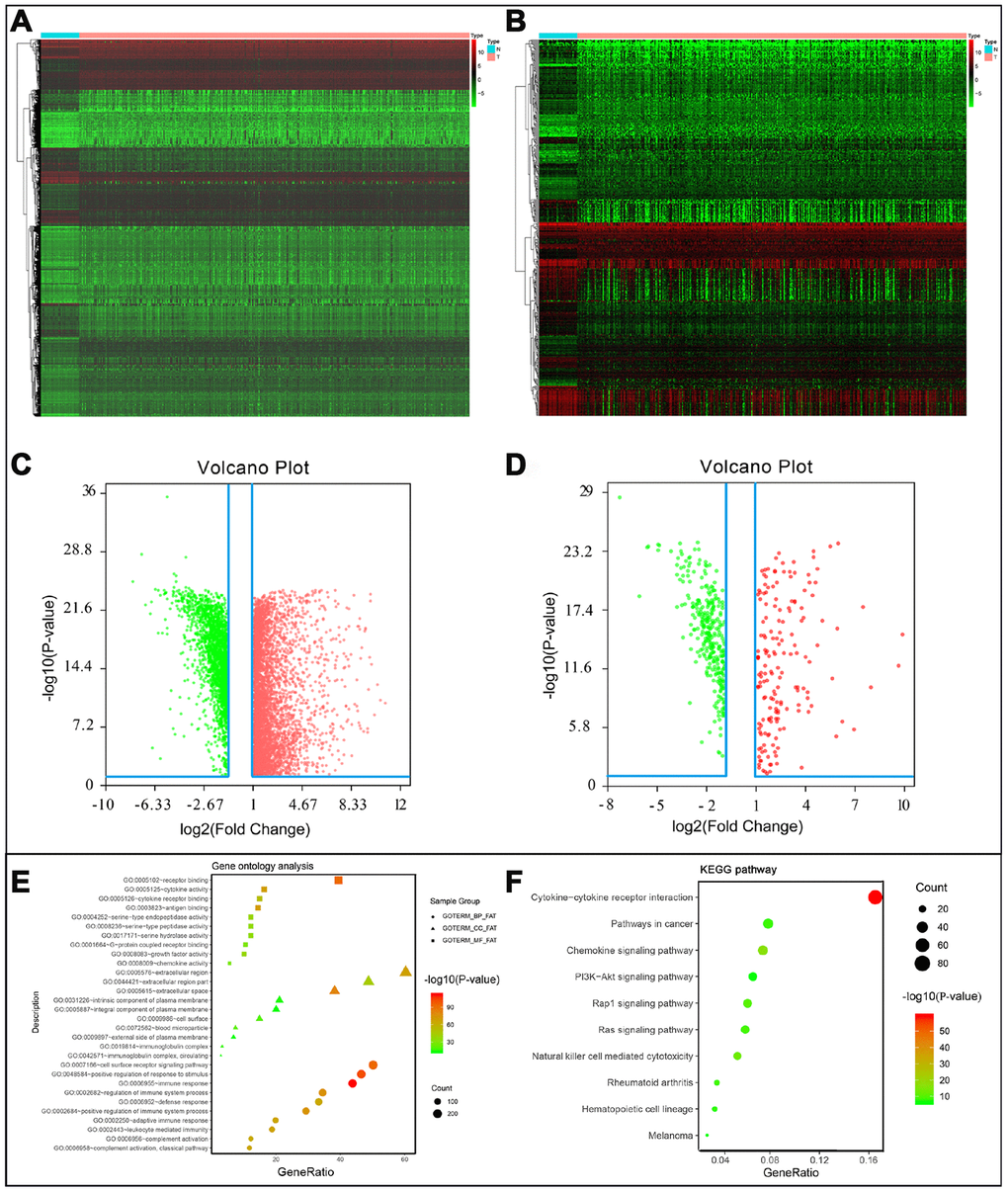 (A) Differentially expressed genes, with red representing high expression and green representing low expression. (B) Differentially expressed immune-related genes, with red representing high expression and green representing low expression. (C) Volcano plot of 6524 differentially expressed genes, with red representing up-regulated and green representing down-regulated. (D) Volcano plot of 484 differentially expressed immune-related genes, with red representing up-regulated and green representing down-regulated. (E) Gene ontology analysis of differentially immune-related genes, circle presentations biological process, triangle presentations cellular component, square presentations molecular function. (F) KEGG pathway analysis of differentially immune-related genes.