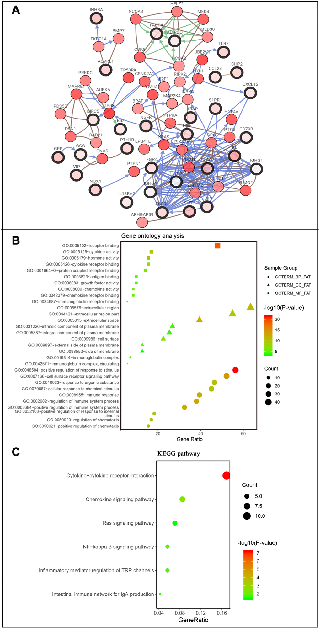 Co-expression network and gene enrichment analysis of prognostically relevant IRGs. (A) Network of prognostic IRGs and their co-expressed genes, with black-boxed nodes indicating prognostic IRGs and the remaining nodes indicating genes co-expressed with prognostic IRGs. (B) Gene ontology analysis and (C) KEGG pathway analysis of prognostic IRGs.