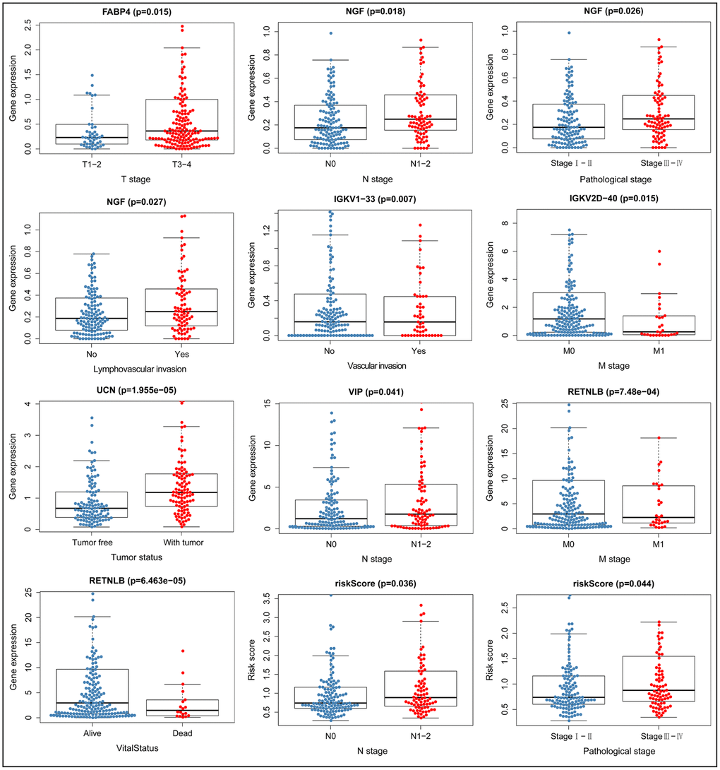 Relationship between immune gene expression and clinicopathological factors in CRC (P 