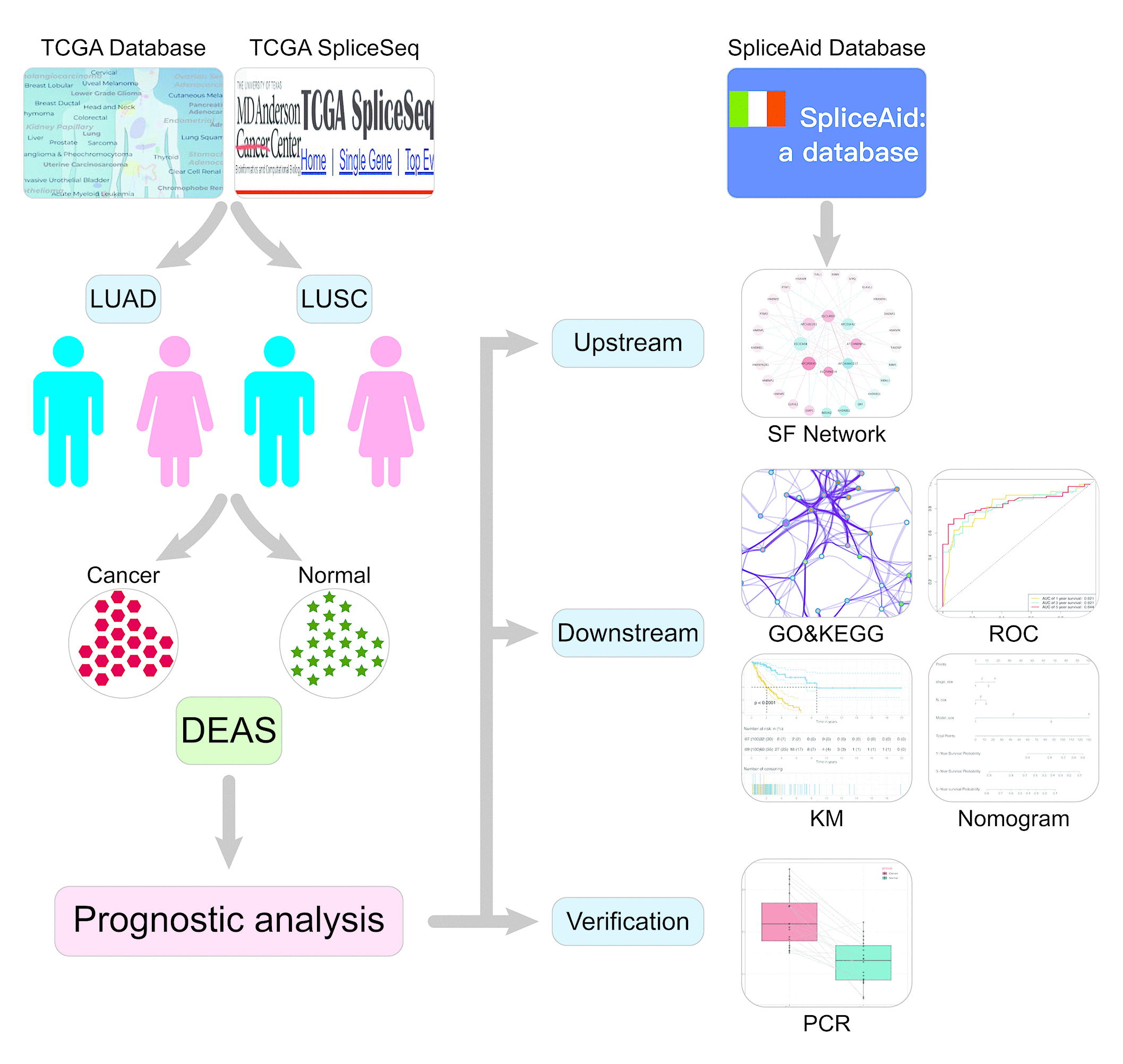 class="figure-viewer-img"