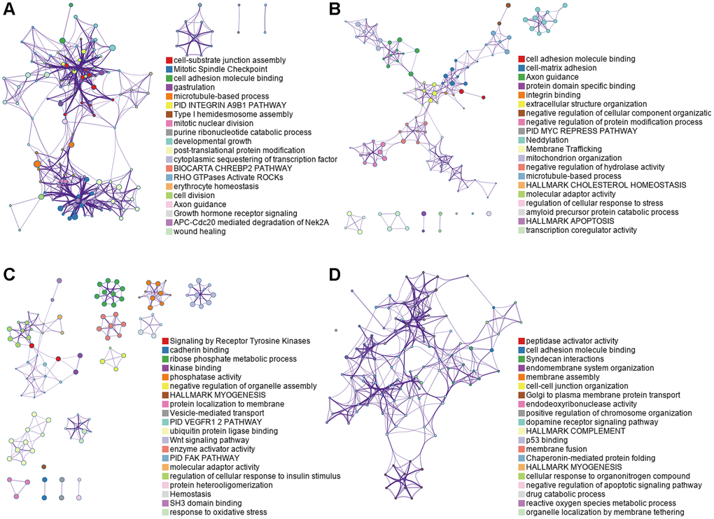 Functional analyses on parent genes from OS-associated DEAS events in NCSLC, including GO and KEGG. (A) LUAD