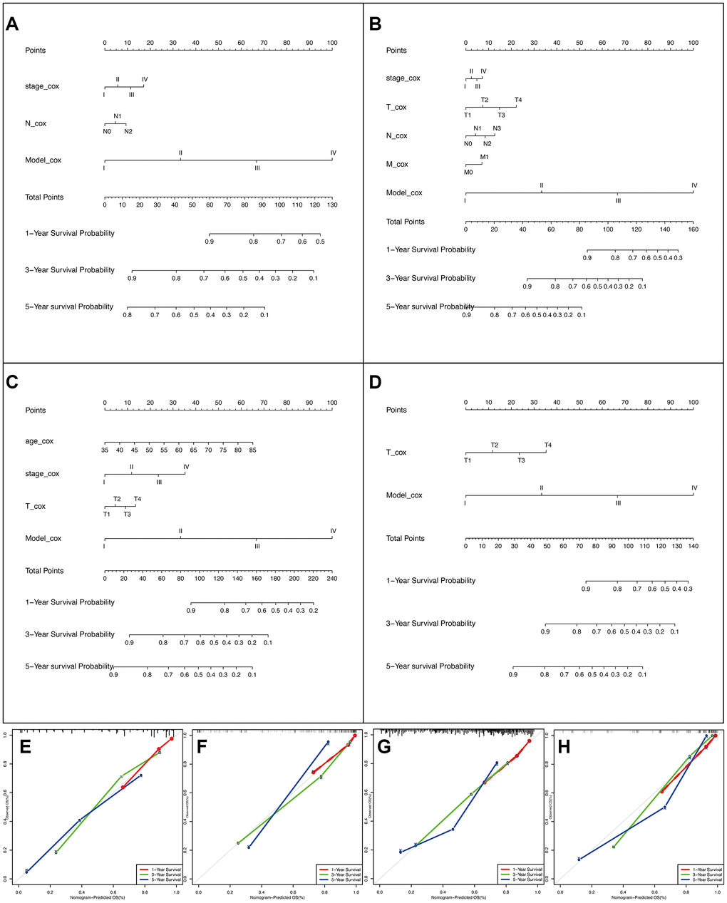 The AS-clinicopathologic nomogram for prediction on survival probability in patients with NSCLC. (A–D) Development of AS-clinicopathologic nomogram for predicting 1-, 3-, and 5-years OS for LUAD