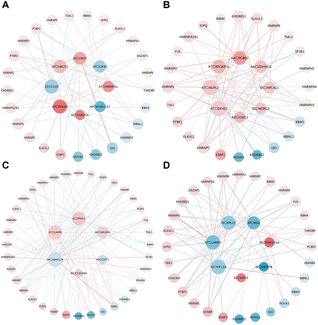 The correlation network of DESF and OS-related DEAS. (A) LUAD
