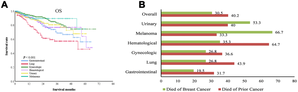 Overall survival (OS) of patients with breast cancer as a second primary cancer. (A) OS curves of patients with different types of prior cancer. (B) the percentage of deaths related to breast cancer or prior cancer among patients with different types of prior cancer. For some types of prior cancer, breast cancer resulted in more deaths than the prior cancer.