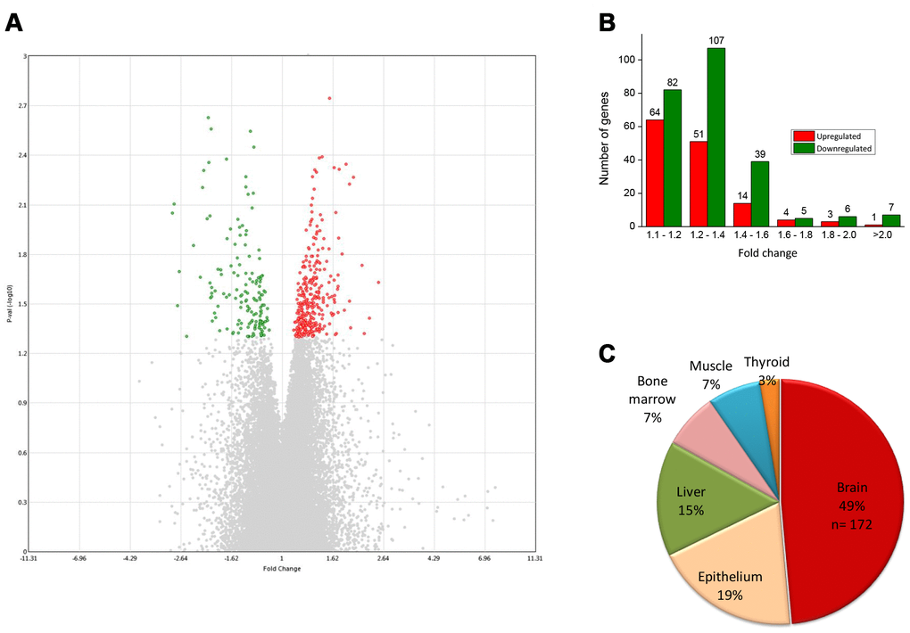 (A) Volcano plot displaying DEGs between verbenalin-treated and untreated-control hAECs on day 7 (performed in Transcriptome Analysis Console version 4 software). The vertical axis (y-axis) corresponds to -log10 p-value of the ANOVA p-values, and the horizontal axis (x-axis) displays linear fold change. The red dots represent the up-regulated genes; the green dots represent the downregulated genes. (B) Distribution of fold changes in mRNA expression levels in verbenalin-treated hAECs (C) Pie chart showing the enriched (p 