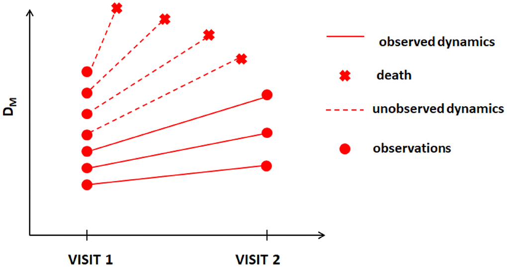 Hypothetical dynamics of the measure of physiological dysregulation (DM) in LLFS among those who survived beyond visit 2 and those who died before visit 2.