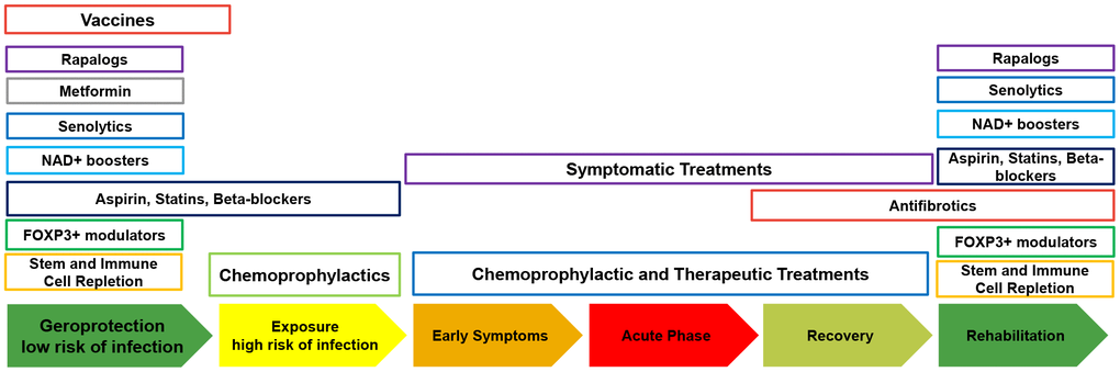 The timing of the administration of geroprotectors for prevention, treatment and rehabilitation of gerolavic respiratory diseases.