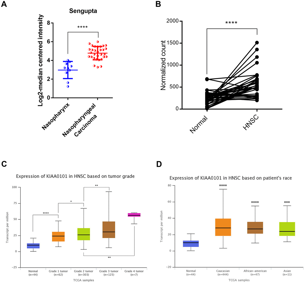 The high-level expression of KIAA0101 in TCGA HNSC and Sengupta NPC samples. (A) KIAA0101 mRNA expression was compared between normal and HNSC samples in 40 patients (****PB) KIAA0101 mRNA was highly up-regulated in Sengupta NPC compared with normal samples. *PPPC) KIAA0101 RNA expression was positively correlated with tumor grade. (D) Expression of KIAA0101 in HNSC based on patient’s race.