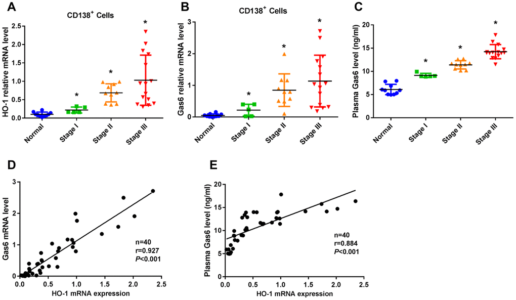 HO-1 expression is associated with increased Gas6 expression in CD138+ cells from patients with multiple myeloma (MM). (A, B) mRNA expression of HO-1 and Gas6 in human primary CD138+ cells were measured by qRT-PCR. β-actin was used as a control. (C) ELISA assay showed the plasma Gas6 level. *PD, E) A Pearman correlation analysis showed the association between HO-1 mRNA expression level and Gas 6 mRNA level (r=0.927; PP