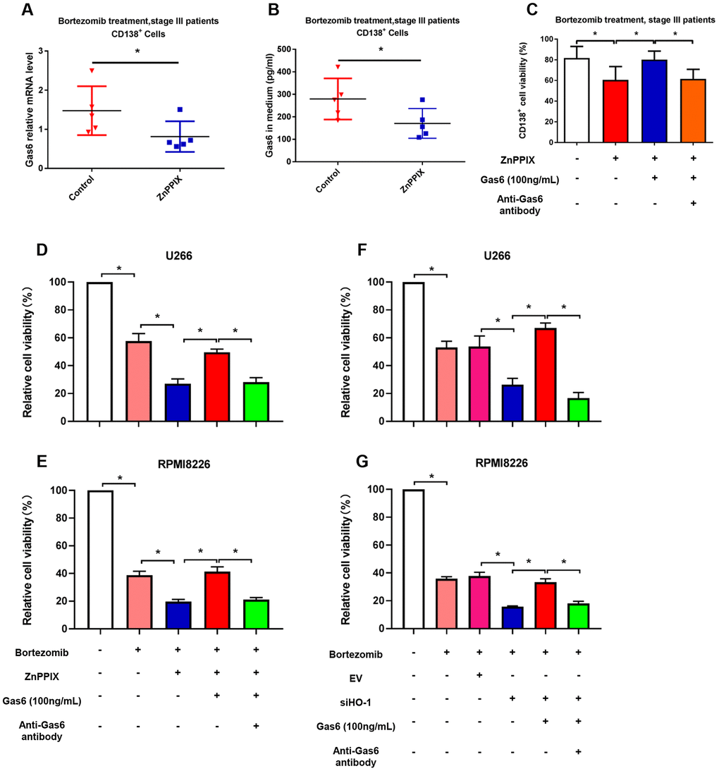 HO-1 inhibition enhances bortezomib-induced antiproliferative effect by reducing Gas6 secretion. (A) Gas6 mRNA level in human primary CD138+ cells. (B) Gas6 levels of culture supernatants were quantified by ELISA. Human primary CD138+ cells were treated with or without ZnPPIX (0.1 μM) in the presence of bortezomib for 24 h. n=5, *PC) CCK8 showing the cell viability of CD138+ cells treated with ZnPPIX, exogenous Gas6 or Gas6 neutralizing antibody. n=5, *PD–G) Cell viability was detected by CCK8 assays in U266 and RPMI8226 cells. n=4, *P