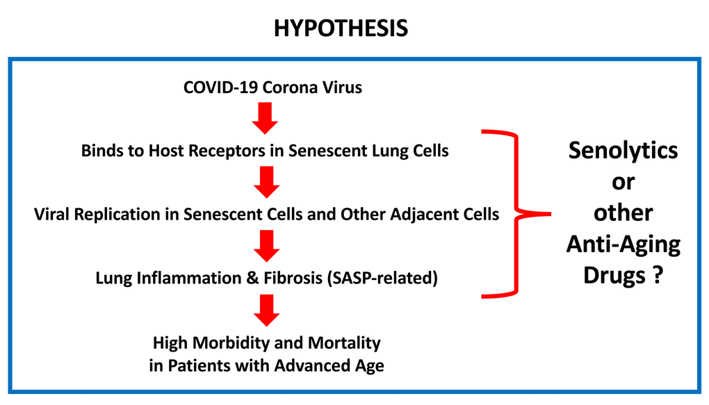 Covid-19 : l'hydroxychloroquine – L'Express