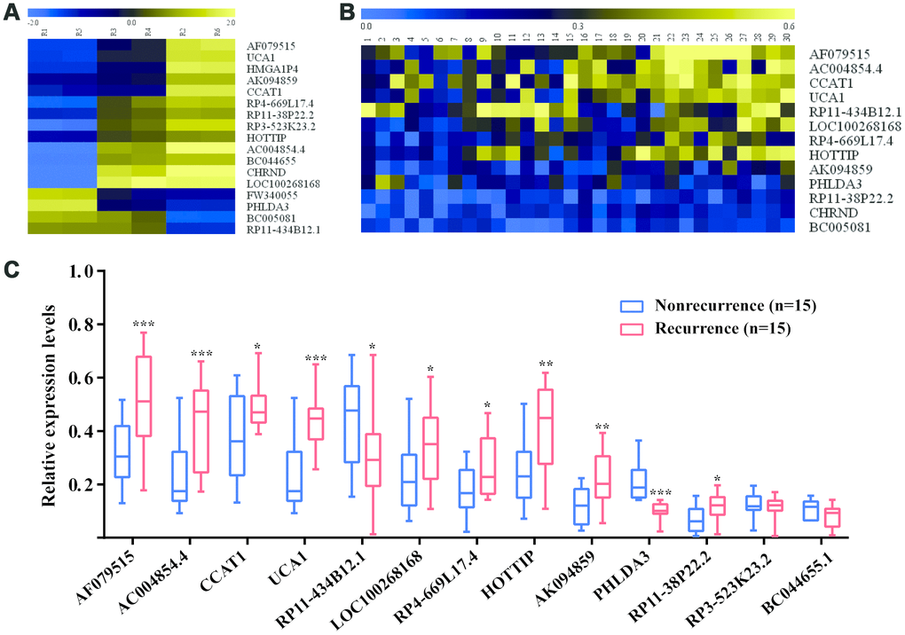 Identification of recurrence-associated lncRNAs in CRC patients. (A) The heatmap of recurrence-associated lncRNAs identified by high-throughput human genome-wide lncRNA microarray; (B) The heatmap of Recurrence-associated lncRNAs detected by RT-qPCR. (C) The differentially expressed lncRNAs between recurrence group and nonrecurrence group; *P**P***P