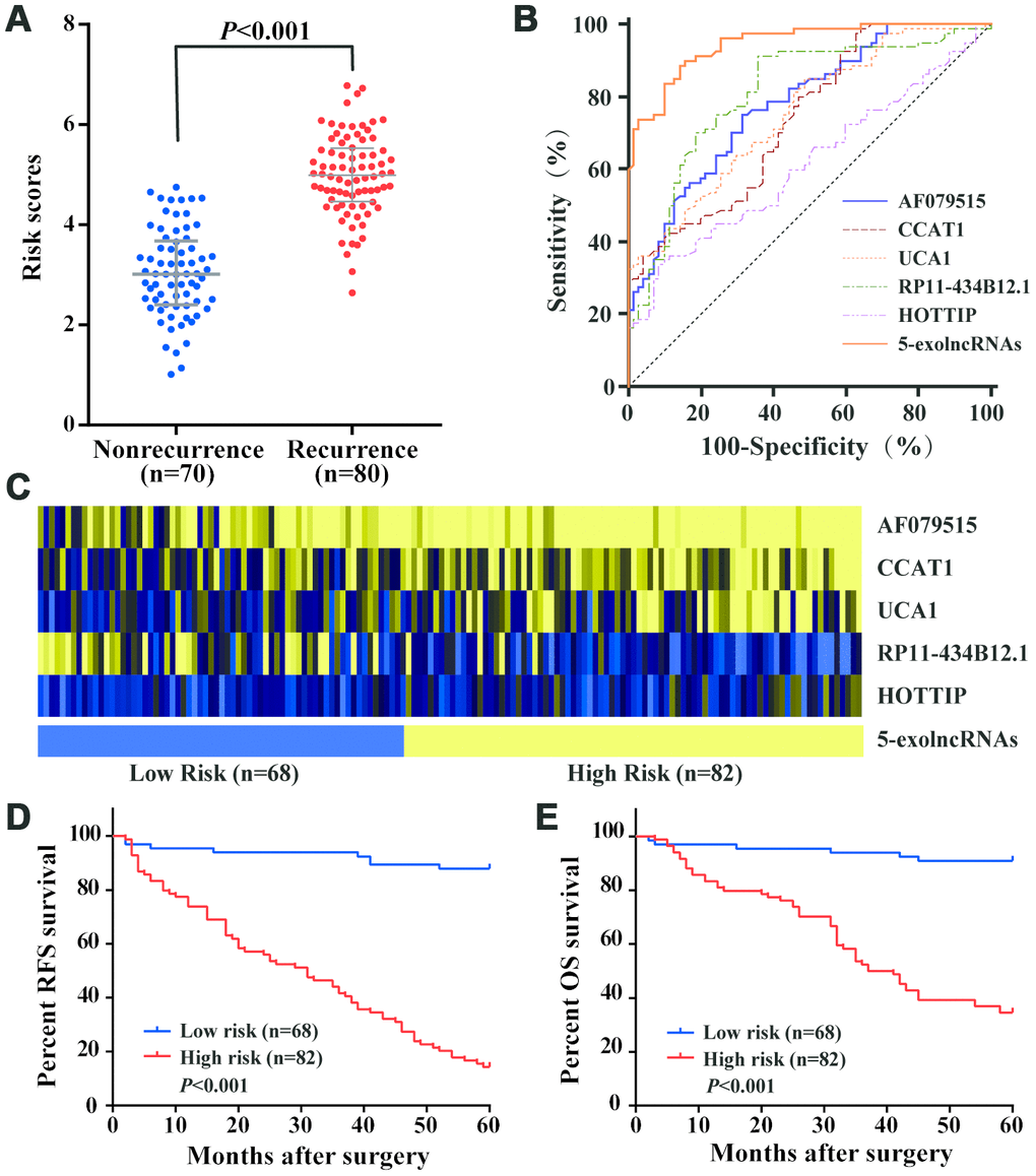 Construction and performance of exolncRNAs signature in the training set. (A) Risk scores of 5-exolncRNAs were higher in CRC recurrence group than in nonrecurrence group; Data represents the median (interquartile range); [Mann–Whitney U test]. (B) ROC curve for discriminating CRC patients with recurrence from those without recurrence based on AF079515, CCAT1, UCA1, RP11-434B12.1 and HOTTIP alone and in combination. (C) Heatmap of each lncRNA expressed in CRC patients classified into high- and low-risk groups using 5-exolncRNAs, with yellow indicating higher expression and blue indicating lower expression. (D) Kaplan-Meier curves for RFS stratified by 5-exolncRNAs panel in high and low risk using optimal cutoff value (3.998); [log-rank test]. (E) Kaplan-Meier curves for OS stratified by 5-exolncRNAs panel in high and low risk using optimal cutoff value (3.998); [log-rank test].