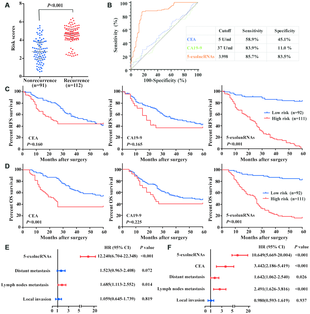 Evaluation of the 5-exolncRNAs panel in the test set. (A) Risk scores of 5-exolncRNAs were higher in CRC recurrence group than in nonrecurrence group; Data represents the median (interquartile range); [Mann–Whitney U test]. (B) ROC curve for discriminating CRC patients with recurrence from those without recurrence based on CEA, CA19-9 and 5-exolncRNAs panel. Sensitivity and specificity are reported. (C) Kaplan-Meier curves for RFS based on CEA, CA19-9 and 5-exolncRNAs panel; [log-rank test]. (D) Kaplan-Meier curves for OS based on CEA, CA19-9 and 5-exolncRNAs panel; [log-rank test]. (E and F) Multivariate Cox analysis for RFS (E) and OS (F) of CRC patients.