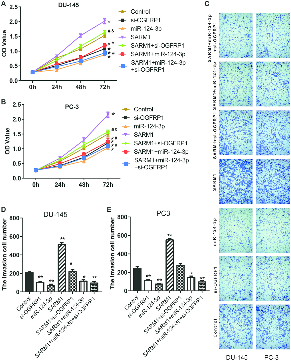 SARM1 promoted the proliferation and metastasis in PCa cells. (A and B) Cell proliferation of DU145 and PC3 was analyzed by CCK8 assay. (C–E) Cell invasion of DU145 and PC3 cells was detected by Transwell assay. *Pvs. control; **Pvs. control; #Pvs. SARM1; ##Pvs. SARM1; &Pvs. si-OGFRP1.